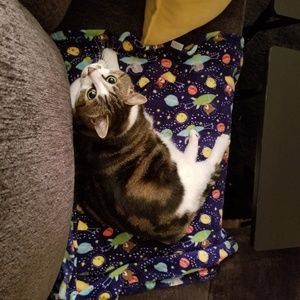 Meet your Posher, Cassandra